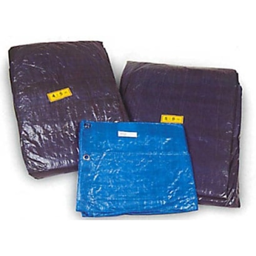 Toldo polietileno 90 g 6x10 m azul