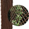 CELOSIA EXT.MIMBRE TRELLIWILLOW 1X2M