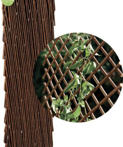 CELOSIA EXT.MIMBRE TRELLIWILLOW 1X2M