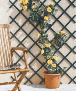 CELOSIA EXT.PVC TRELLIFLEX 1X2M VERDE
