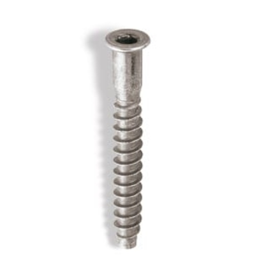 Tornillo ensamblaje  zincado ene 7x50