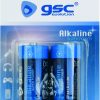 PILA ALKALINA GSC EVOLUT.LR14 (C) BL(2)
