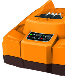CARGADOR BATERIA FCLI20411E 20V