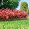 Bordura bark border 9cmx10m marron claro