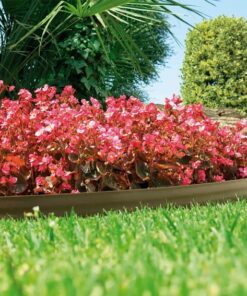 Bordura bark border 9cmx10m marron claro