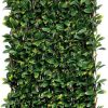 CELOSIA MIMBRE C/HOJAS LAU.WILLGREEN 1X2