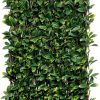CELOSIA MIMBRE C/HOJAS LAU.WILLGREEN 1X3