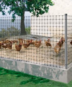 Malla gallinera avinet 36 2x200m negra