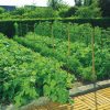 Malla entutorar trellinet 2x100m verde