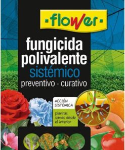 FUNGICIDA POLIVALENTE 30640 10ML