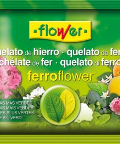 Quelato hierro 30g