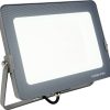 PROYECTOR FORGE+ 172100 LED 100W 5700K