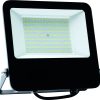 PROYECTOR FORGEPRO+176100 LED 100W 6500K