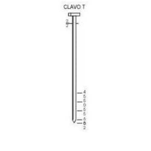 Clavos standard t-60 c/1000